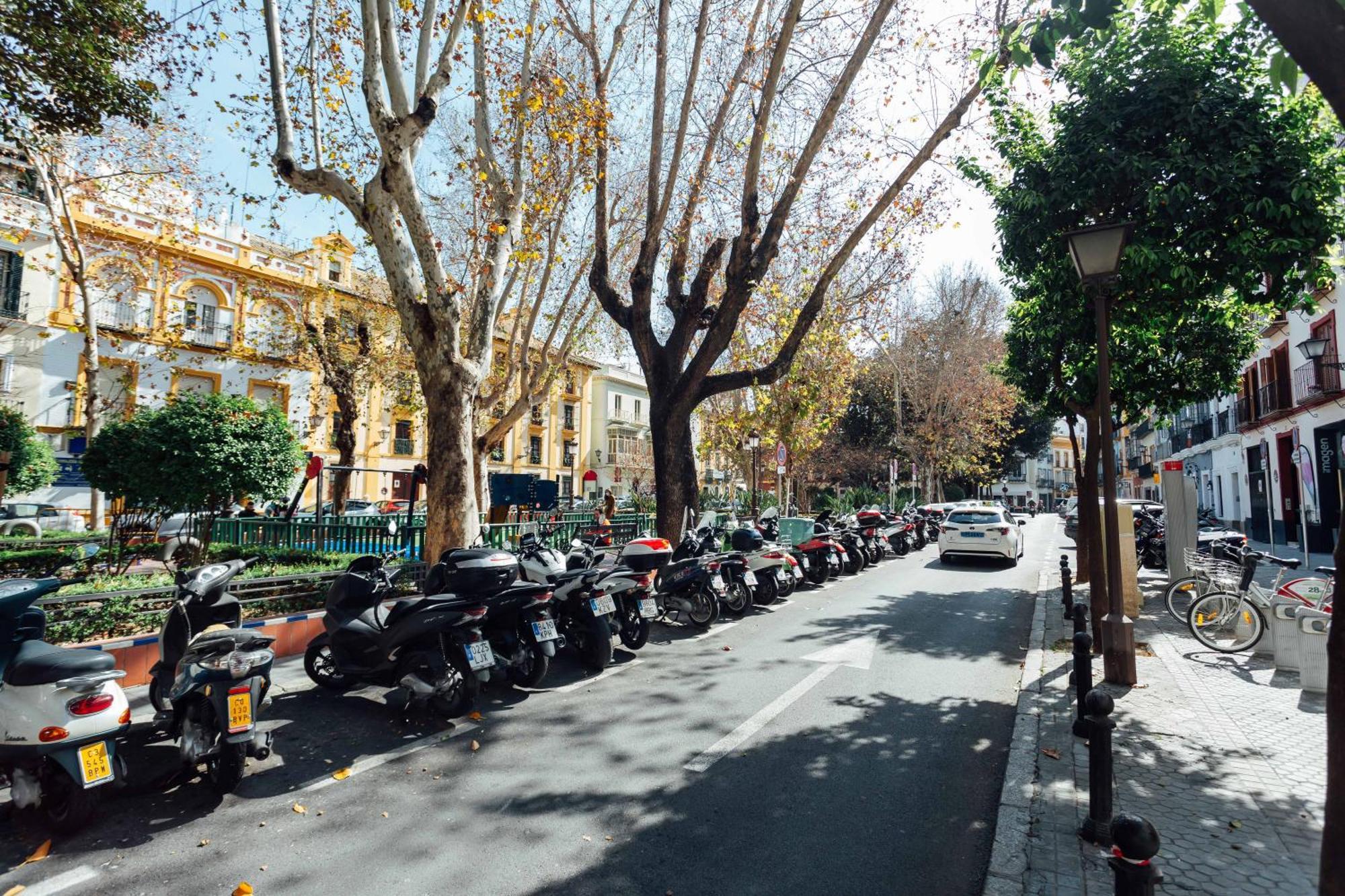 Luxury And Cozy- 1Bd 1Bth- Las Setas Sevilla Eksteriør bilde